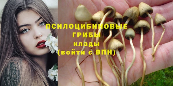 мет Вязьма