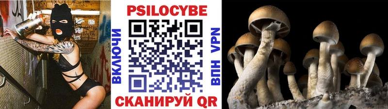 как найти   Камбарка  Галлюциногенные грибы мухоморы 